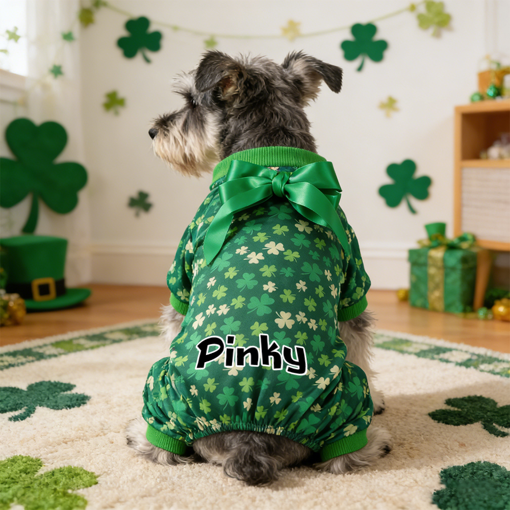 Personalized Pet Lucky St. Patricks Day Jumpsuit | inCloth07