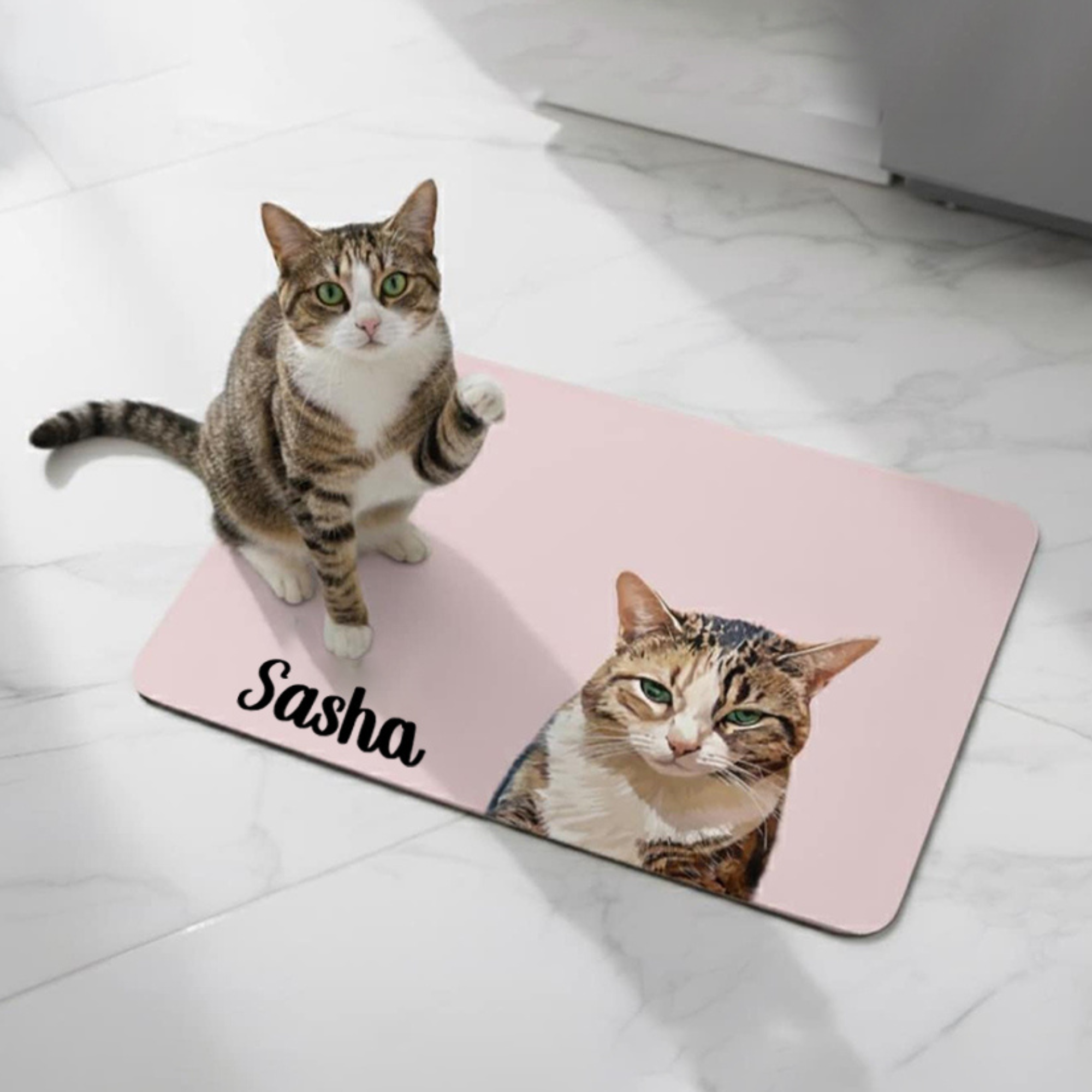 Personalized Pet Food Mat With Portrait | inAccs21