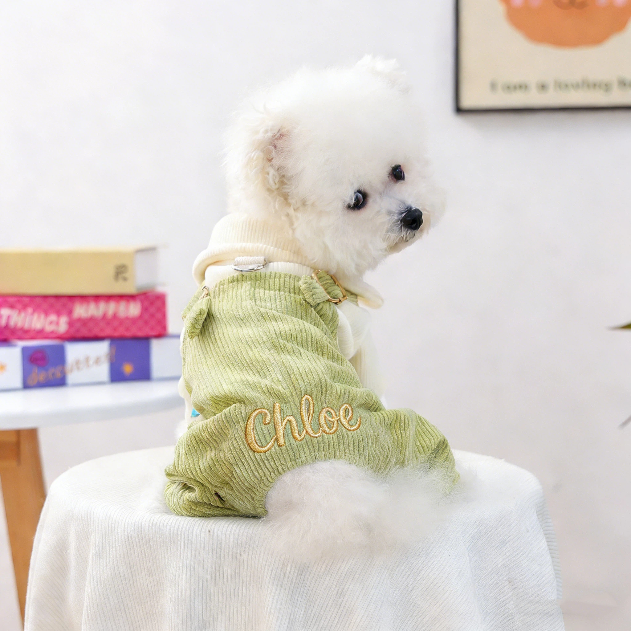 Personalized Embroidered Name Pet Jumpsuit | inCloth21