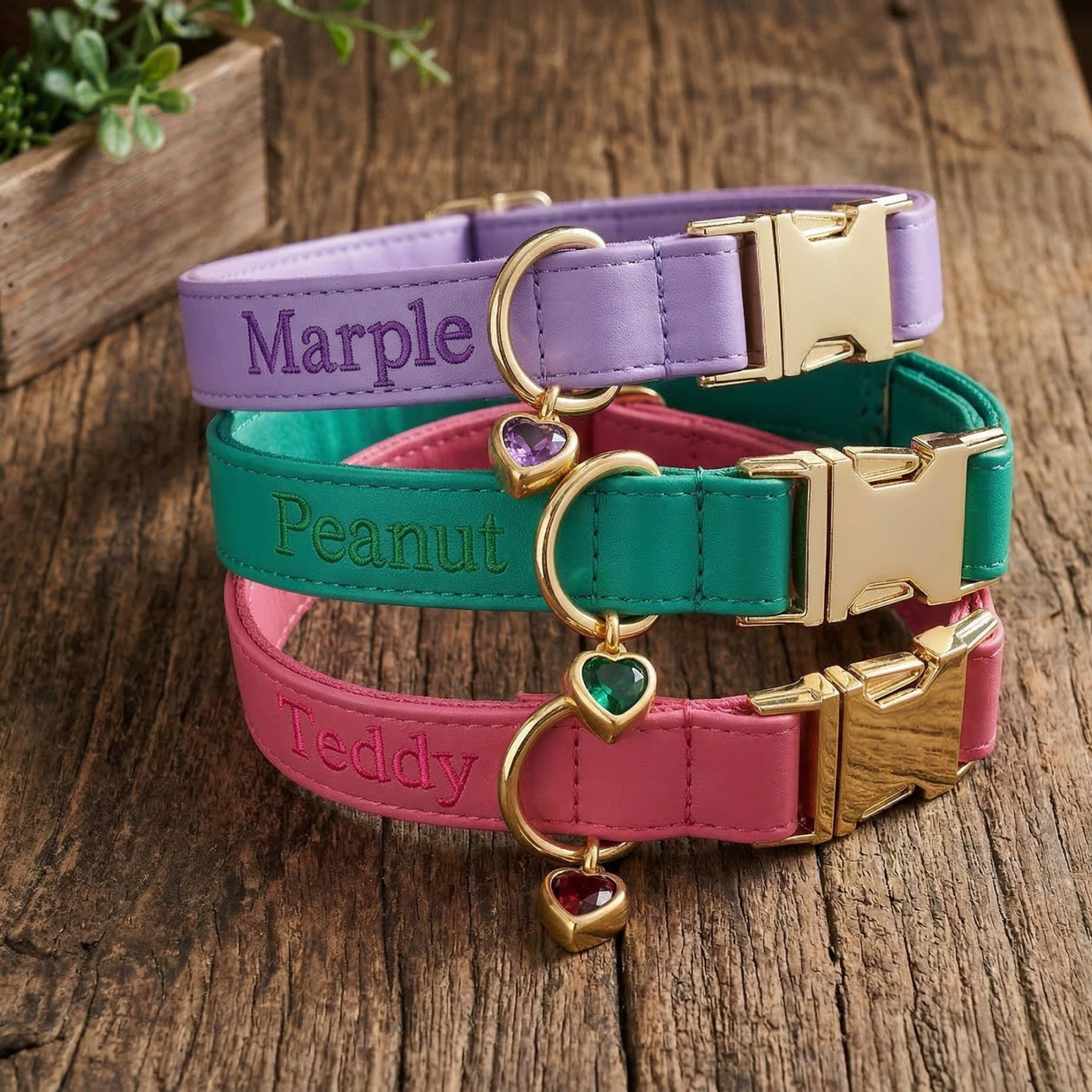 Personalized Embroidered Name Leather Pet Collar | inAccs34