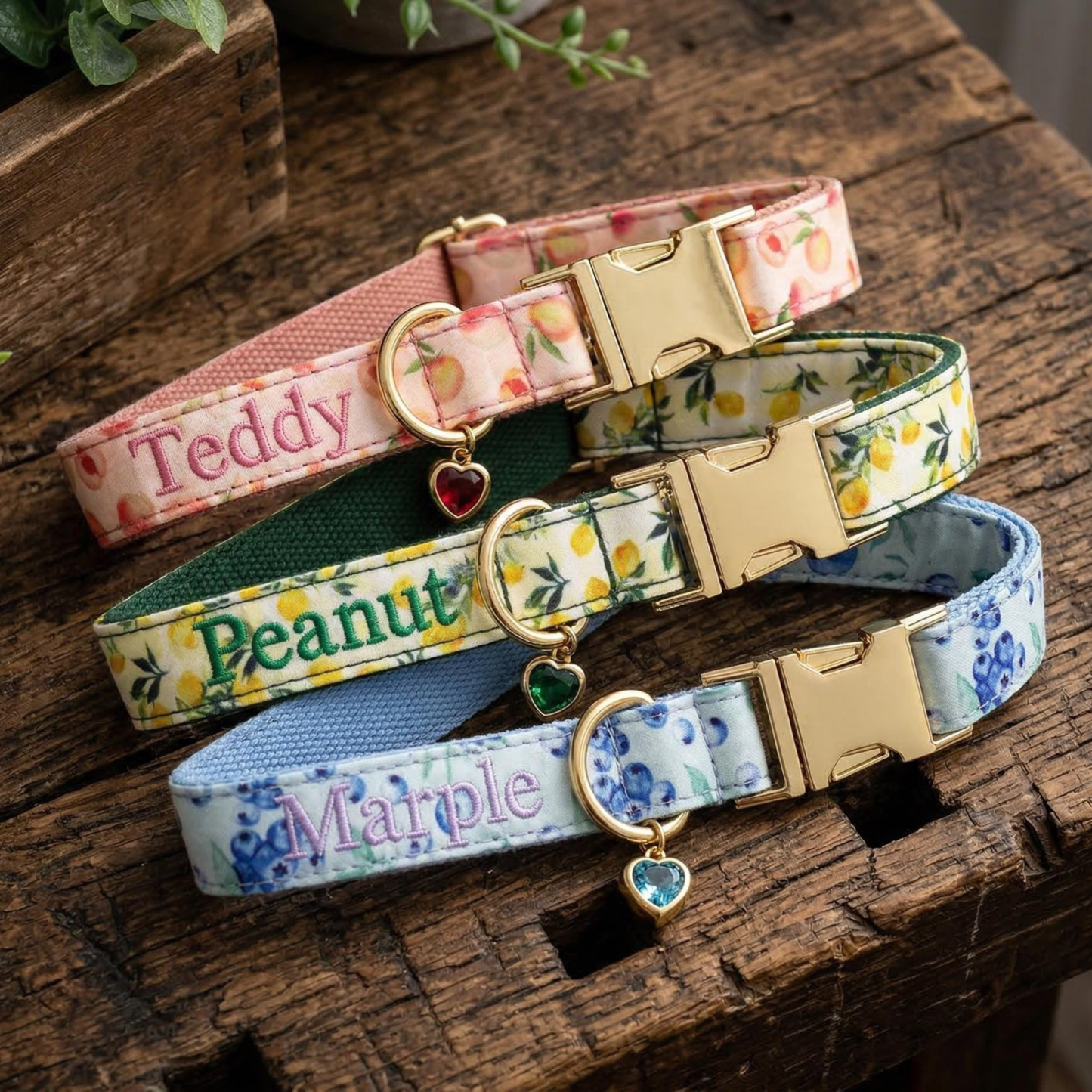 Personalized Embroidered Name Pet Collar with Birthstone Charm | inAccs37