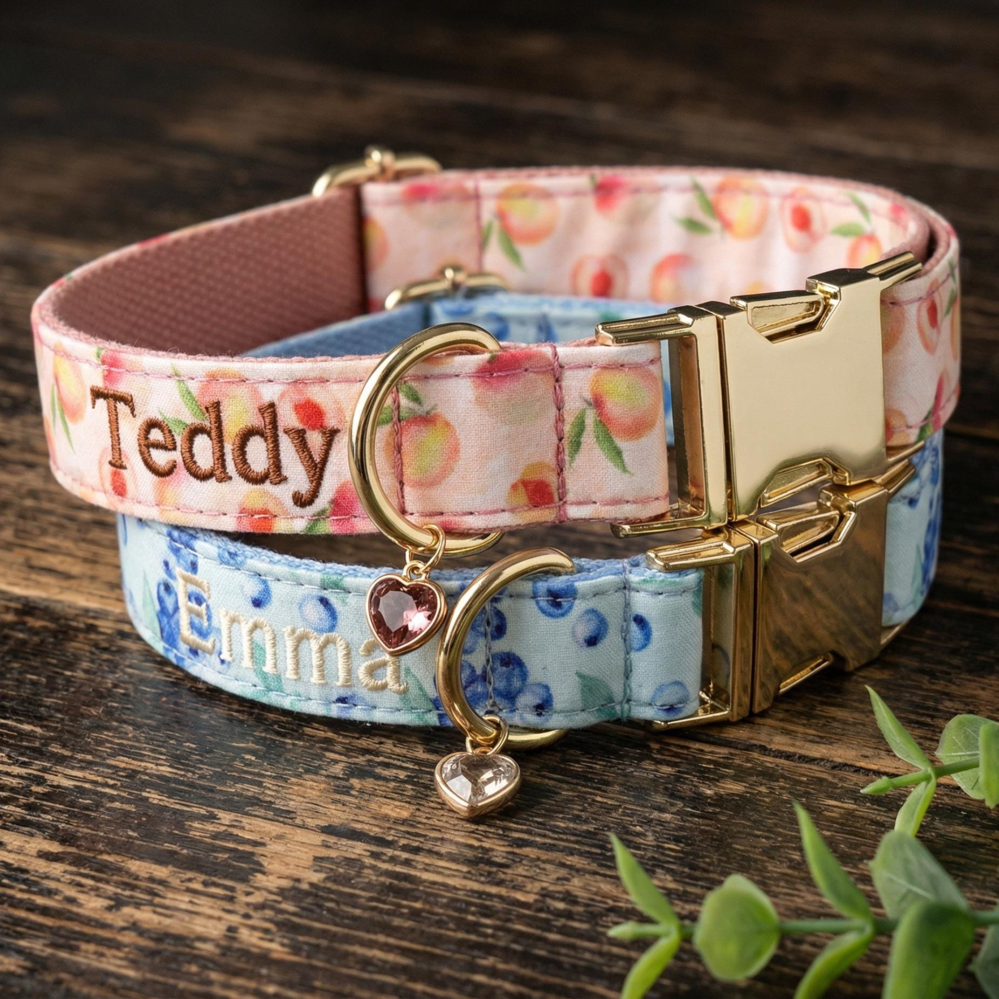 Personalized Embroidered Name Pet Collar with Birthstone Charm | inAccs37