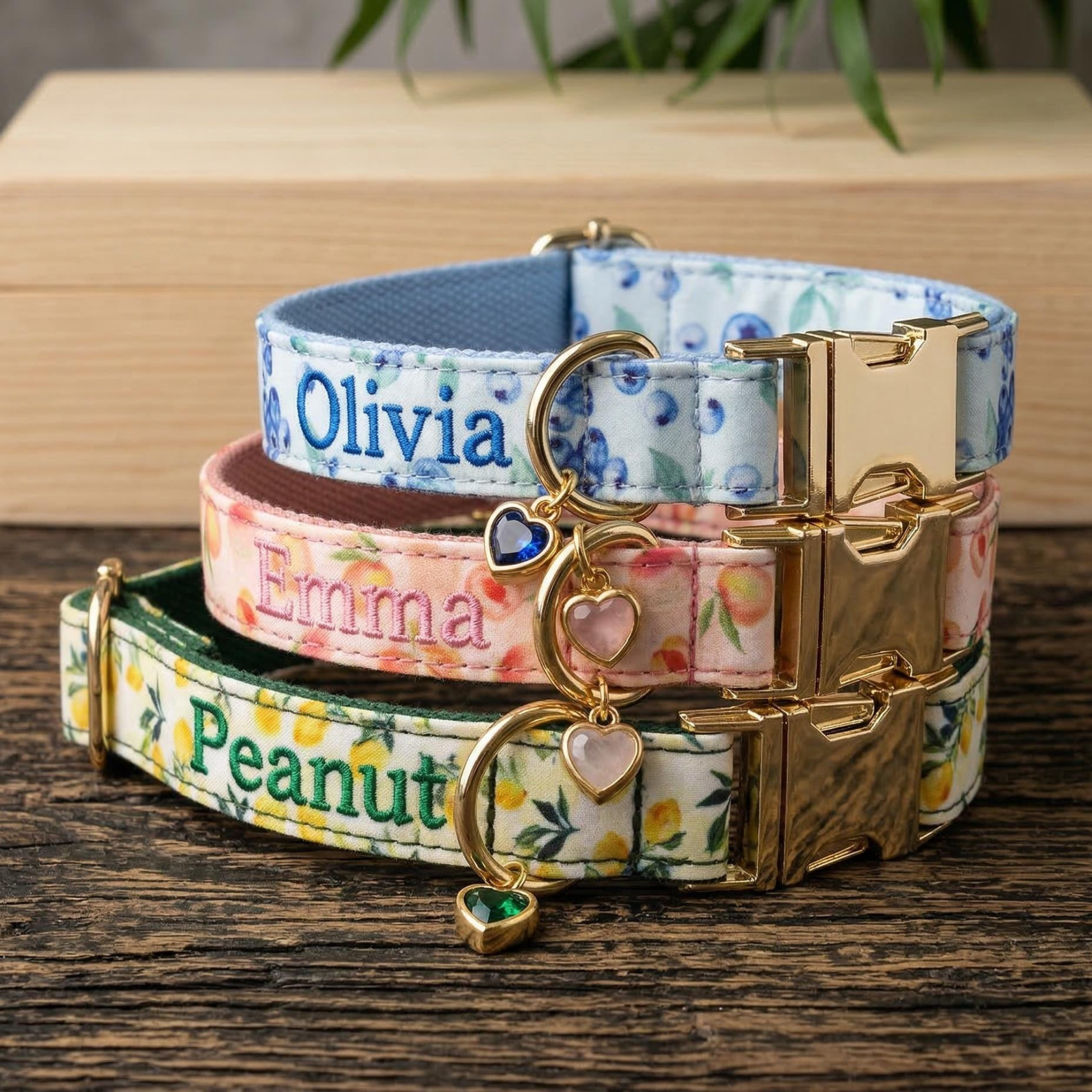 Personalized Embroidered Name Pet Collar with Birthstone Charm | inAccs37