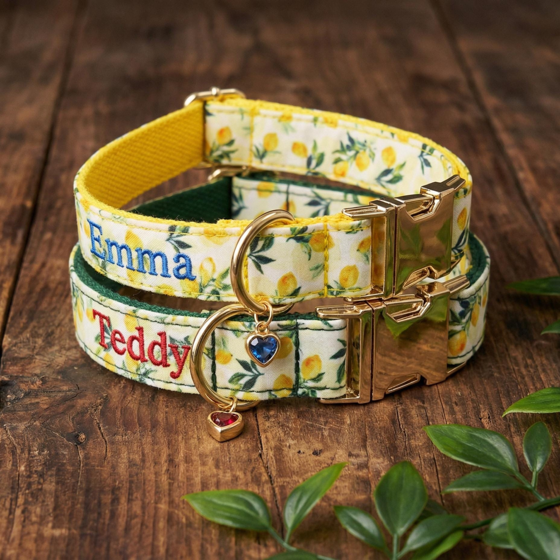 Personalized Embroidered Name Pet Collar with Birthstone Charm | inAccs37