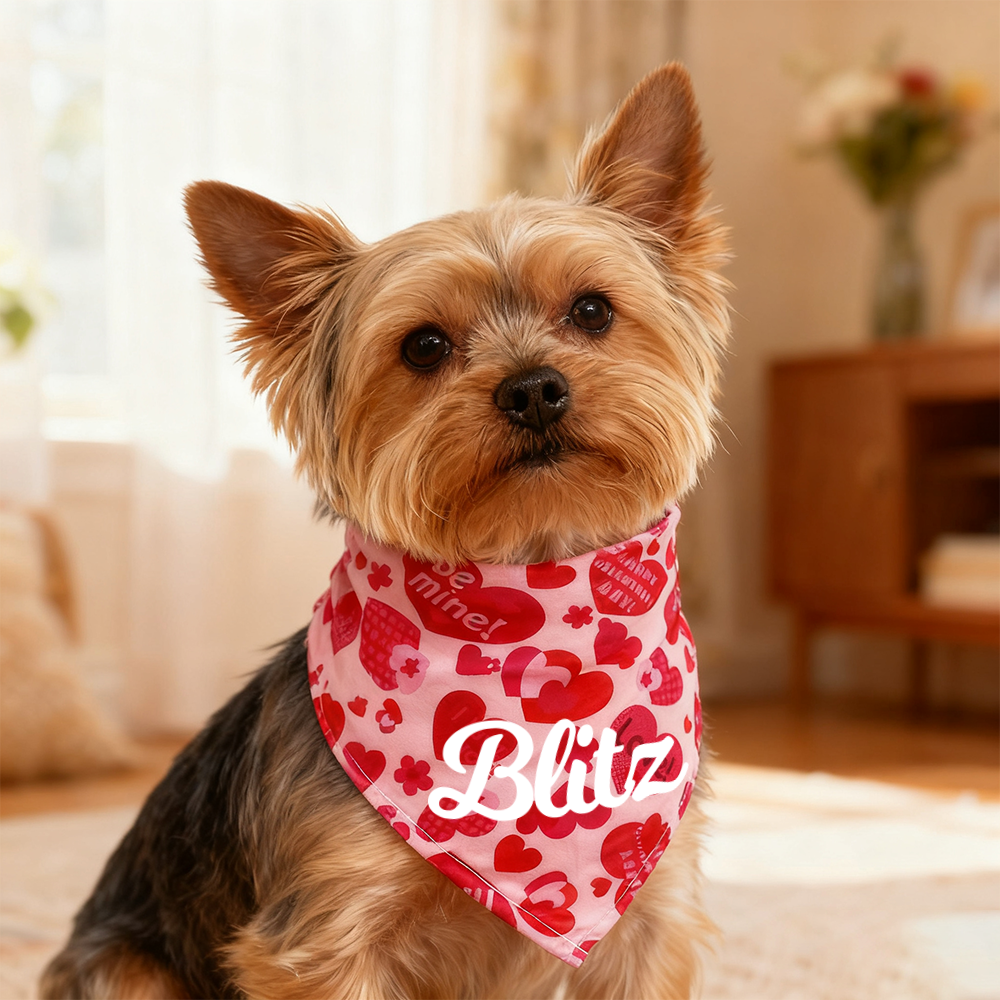 Personalized Romantic Valentine's Day Pet Bandana | KKPet388