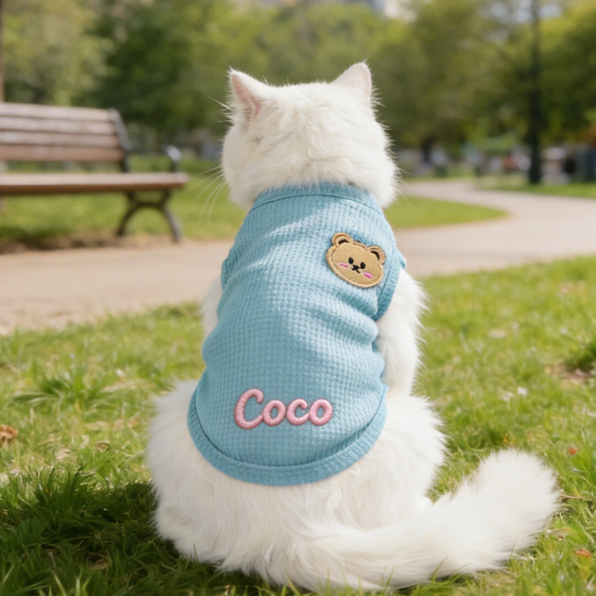 Personalized Embroidered Name Summer Thin Breathable Sweatshirt | inCloth79