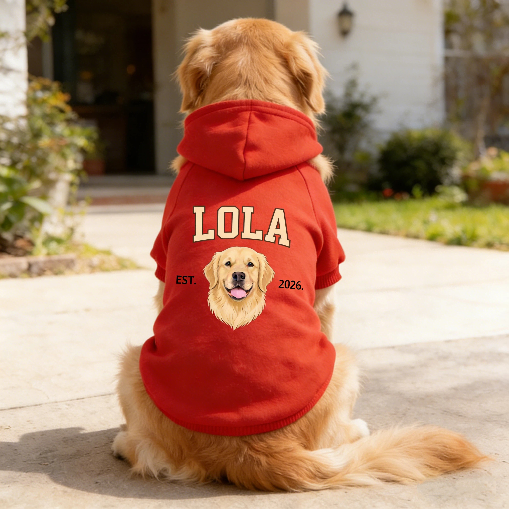 Personalized Funny Face Photo Soft Pet Hoodie | inCloth44