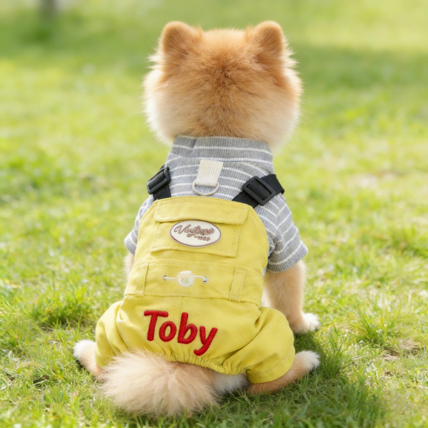 Personalized Embroidered Name Pet Jumpsuit | inCloth21