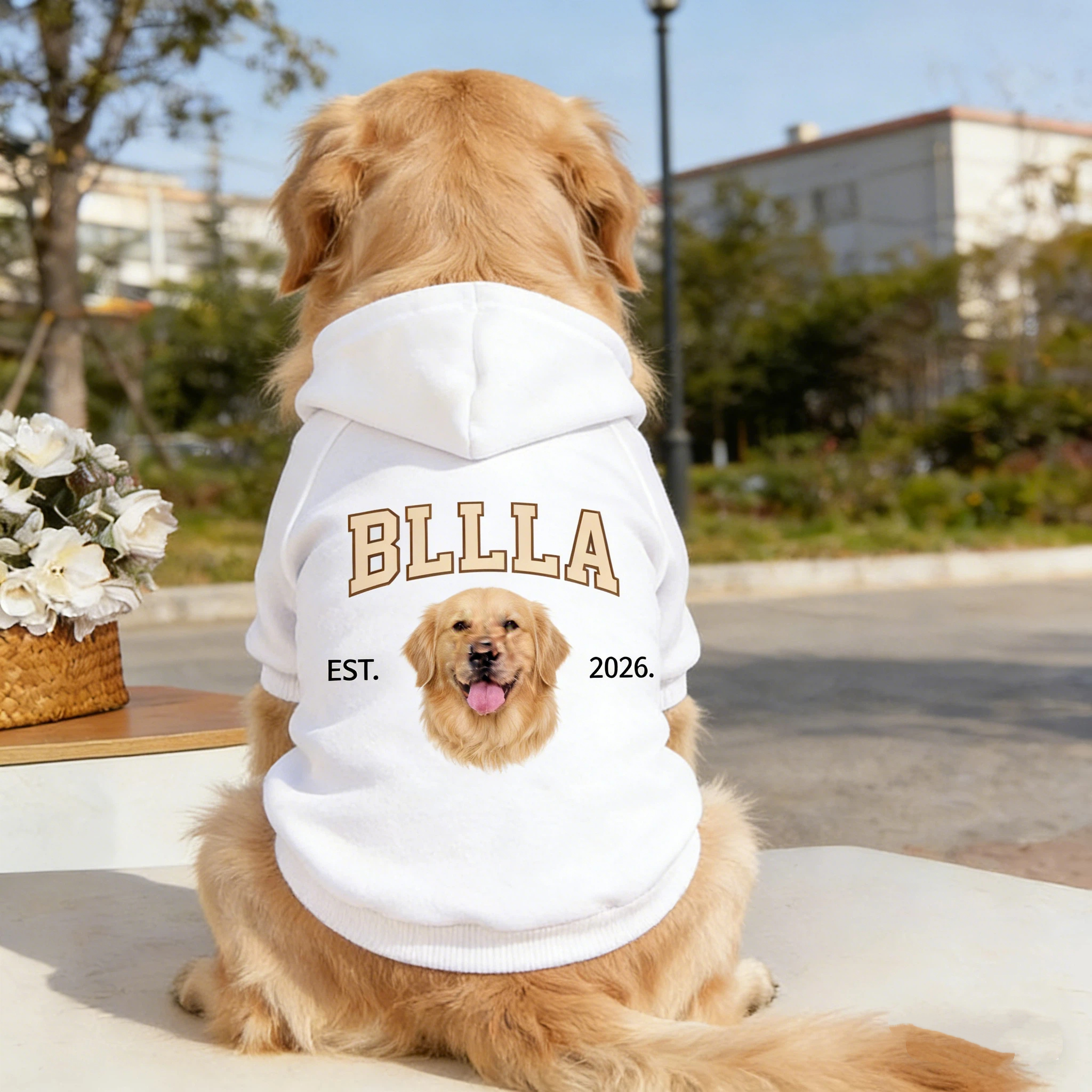 Personalized Funny Face Photo Soft Pet Hoodie | inCloth44