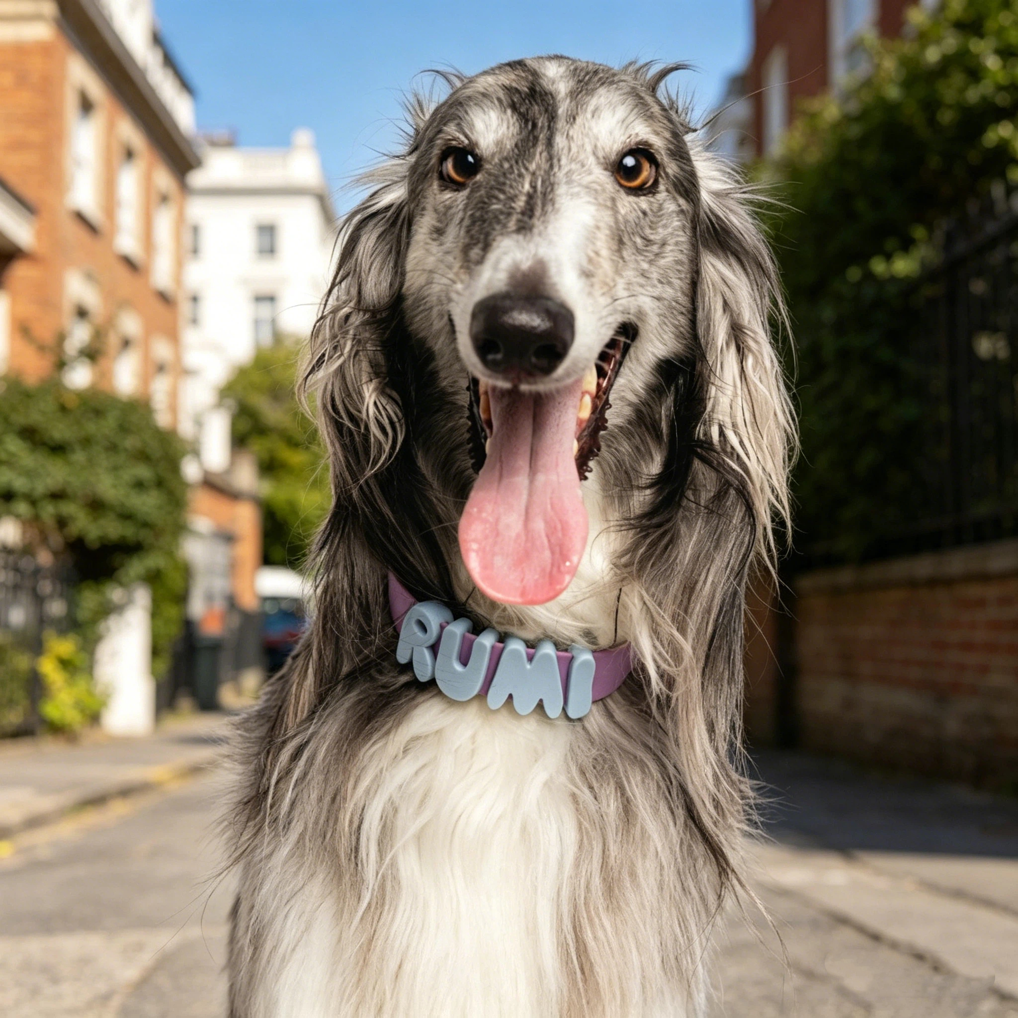 Personalized Silicone Pet Collar with Name | inAccs54