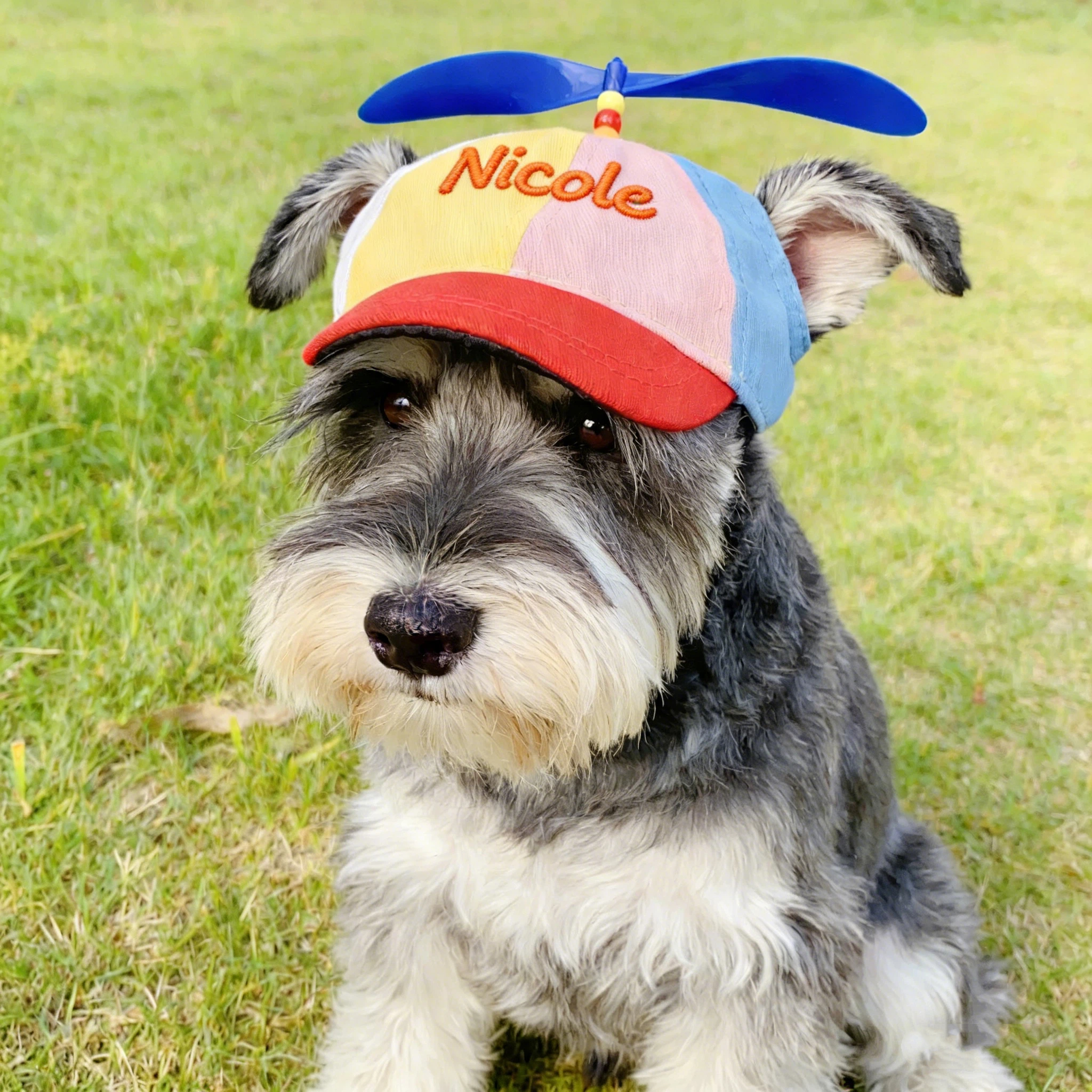 Personalized Embroidered Name Propeller Helicopter Pet Hats | inHat03