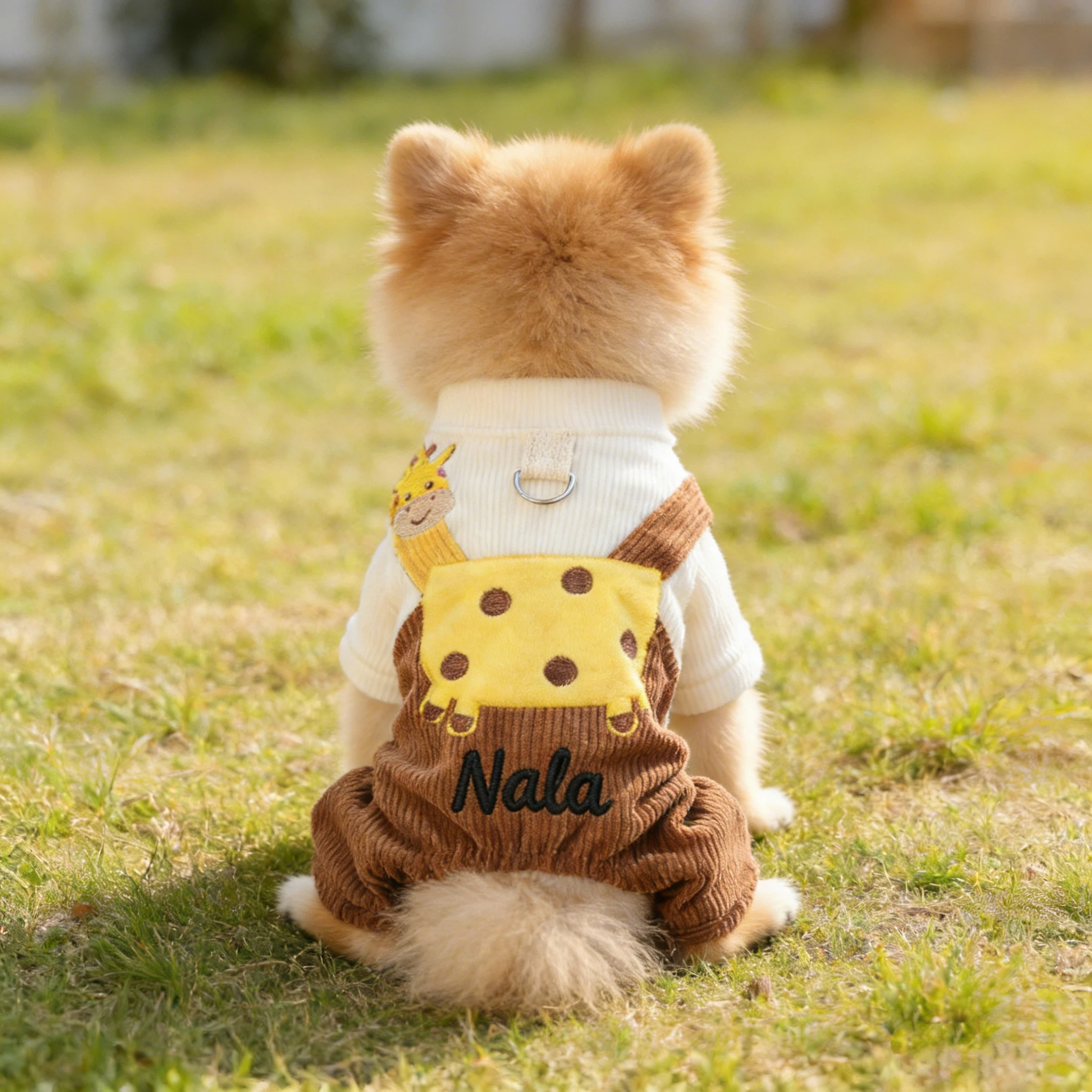 Personalized Embroidered Name Pet Jumpsuit | inCloth21