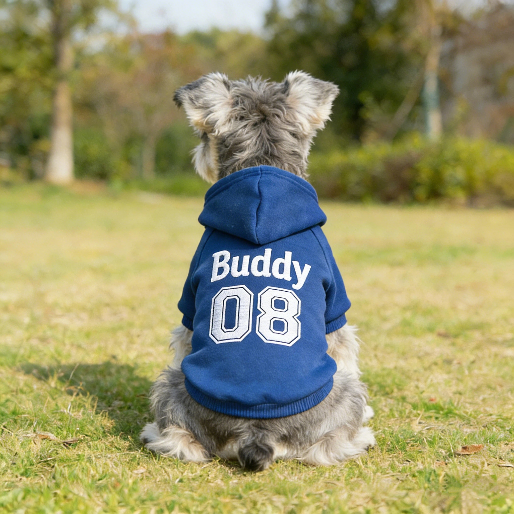 Personalized Embroidered Name Pet Birthday Hoodie | inCloth22