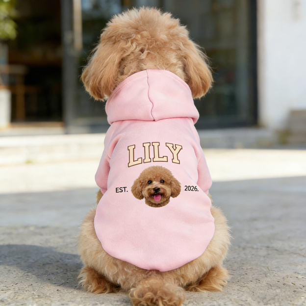 Personalized Funny Face Photo Soft Pet Hoodie | inCloth44