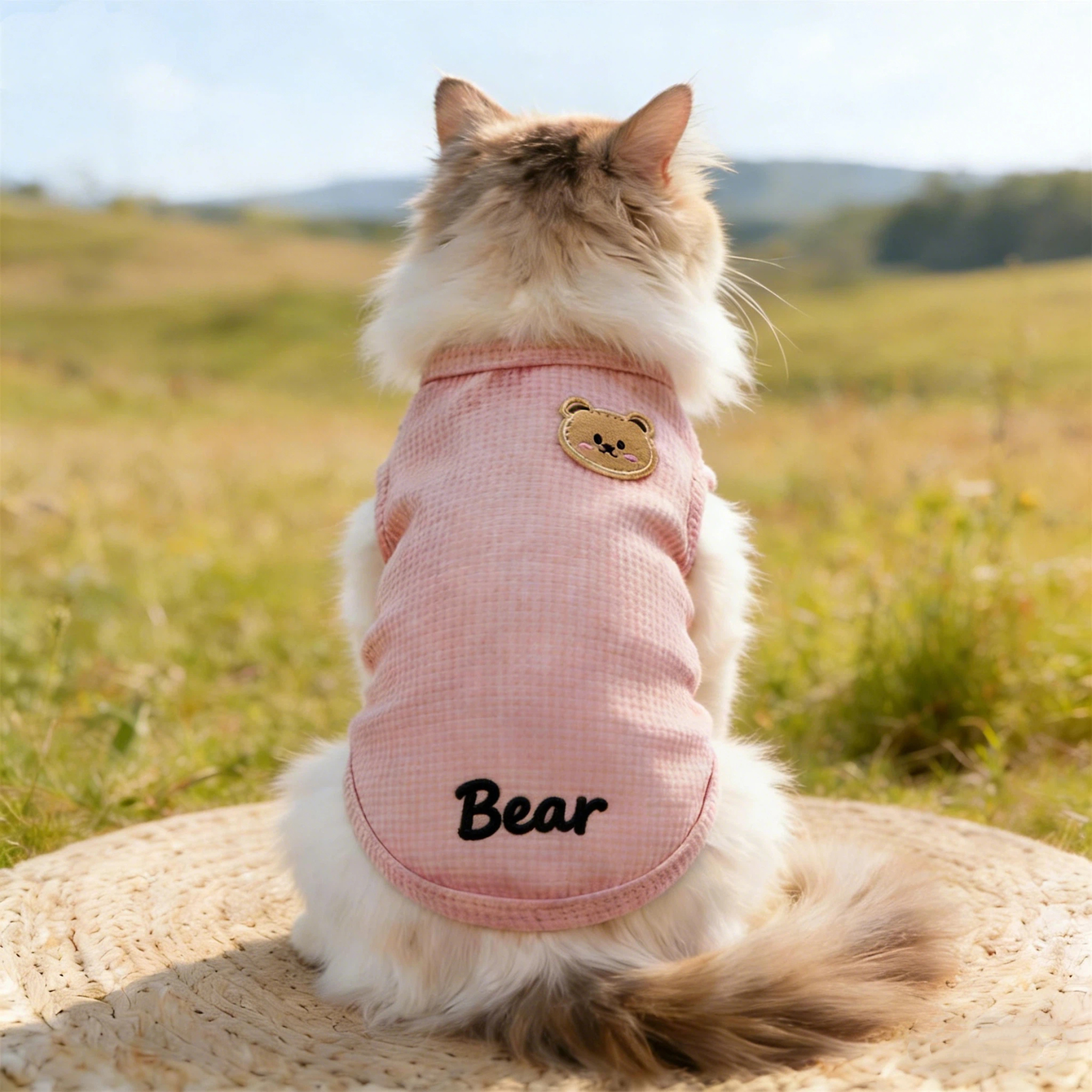 Personalized Embroidered Name Summer Thin Breathable Sweatshirt | inCloth79