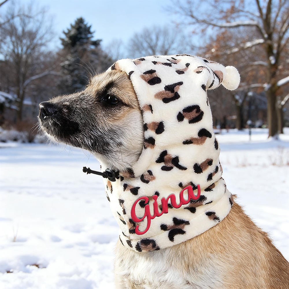 Personalized Embroidered Name Pet Plush Hat | KKPet350