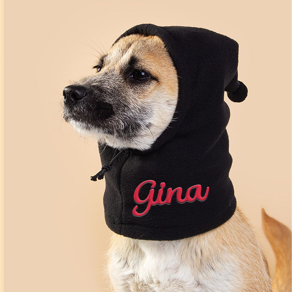 Personalized Embroidered Name Pet Plush Hat | KKPet350