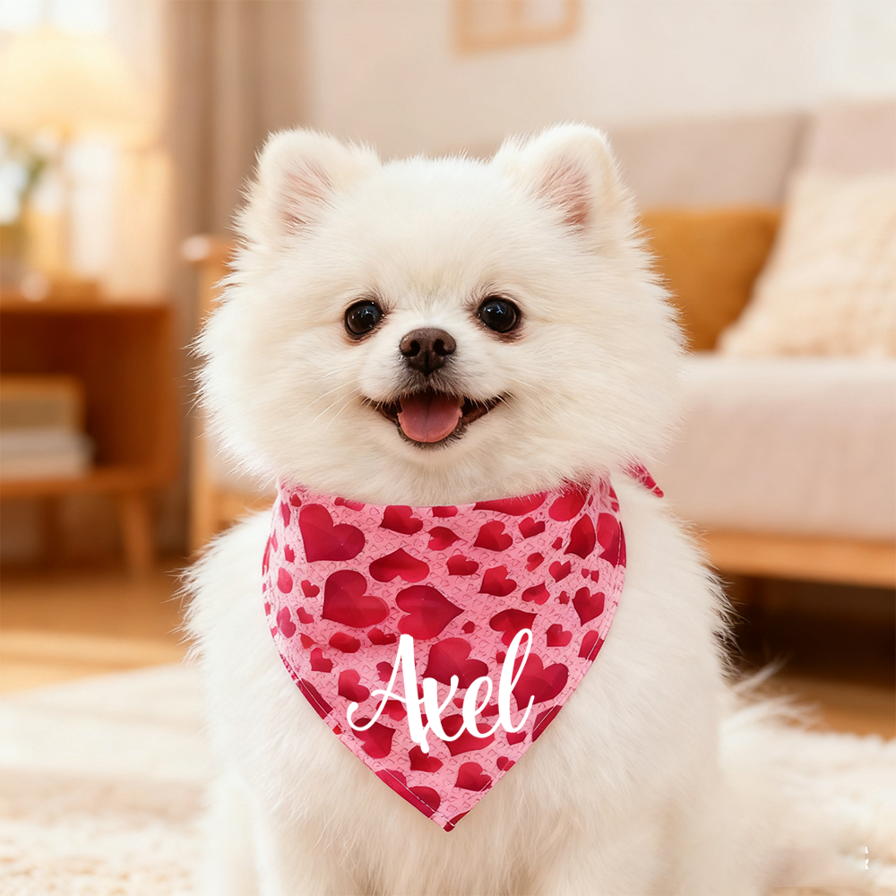 Personalized Romantic Valentine's Day Pet Bandana | KKPet388