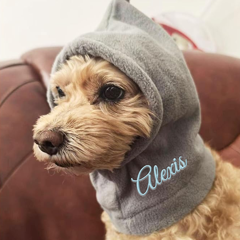 Personalized Embroidered Name Pet Plush Hat | KKPet350