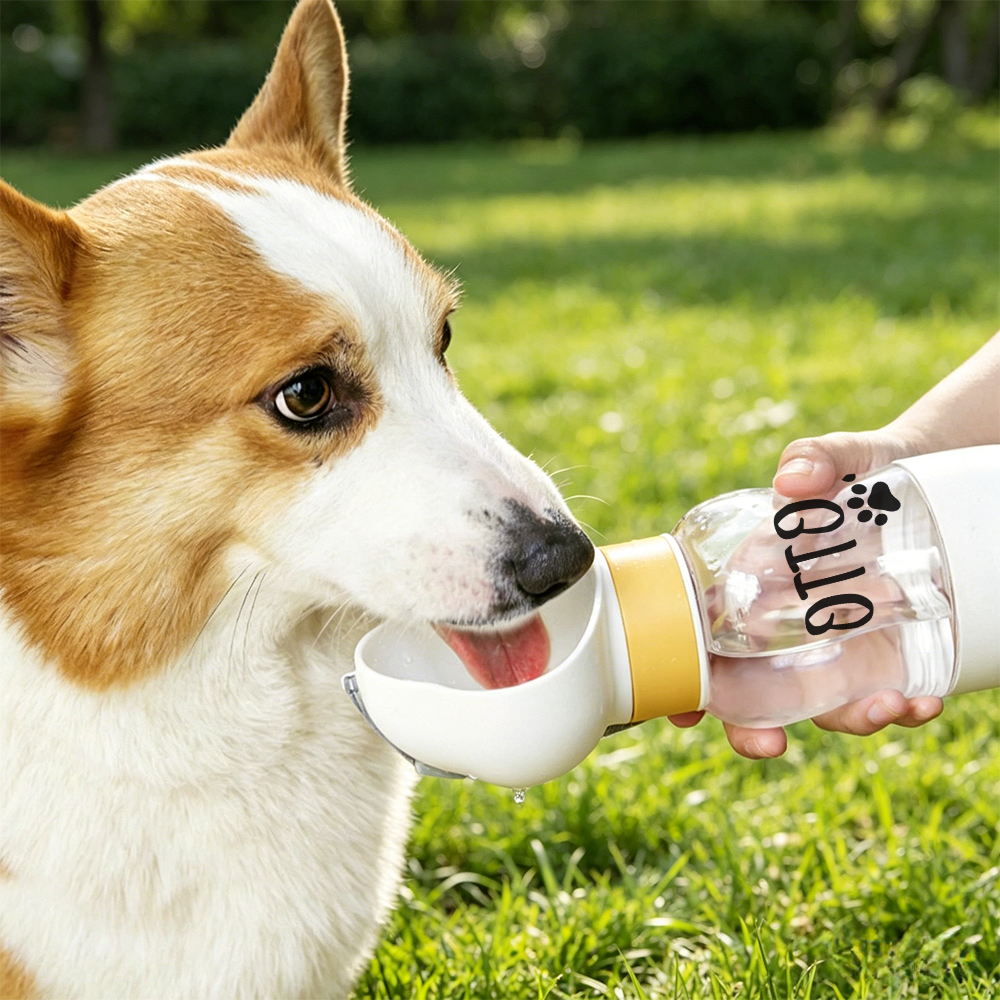Personalized Pet Water Bottle With Food Container | inAccs55