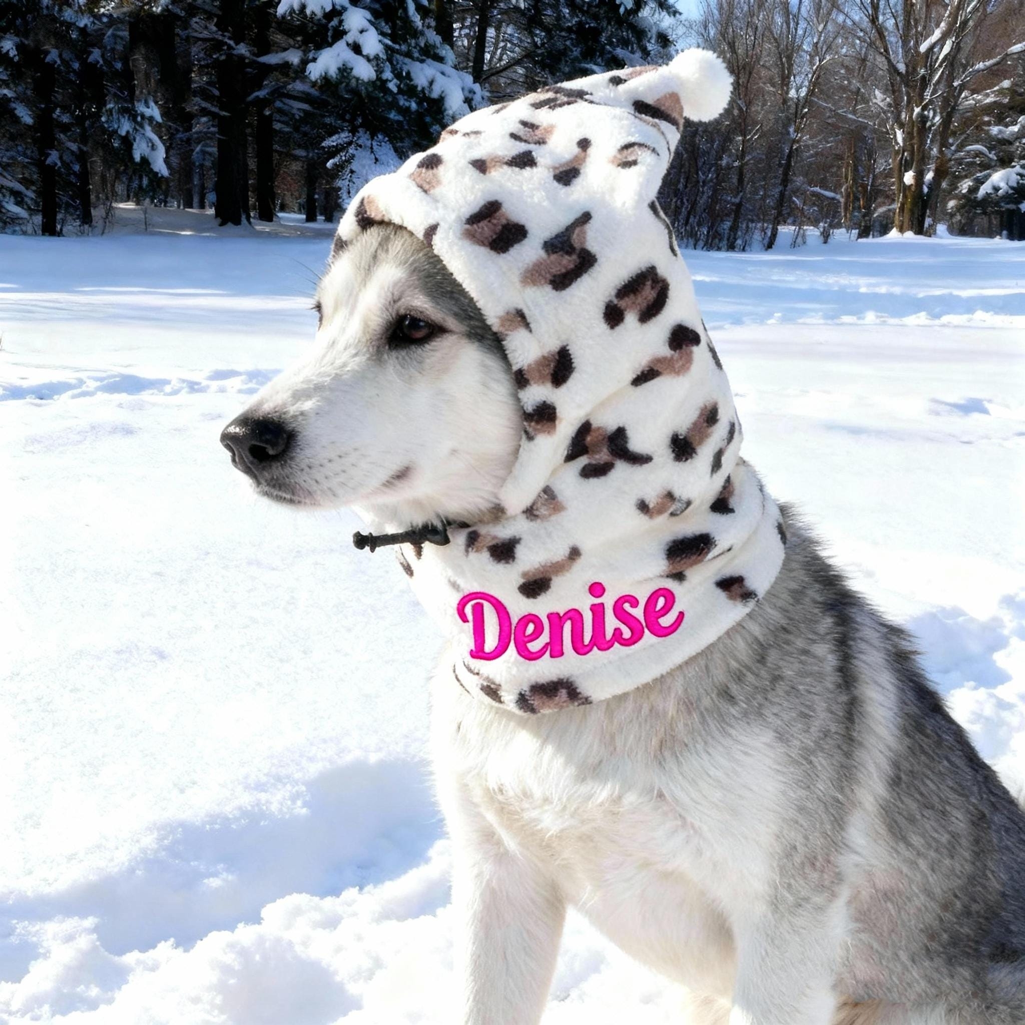 Personalized Embroidered Name Pet Plush Hat | KKPet350