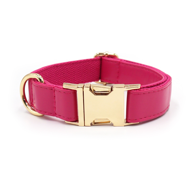Personalized Embroidered Name Leather Pet Collar | inAccs34