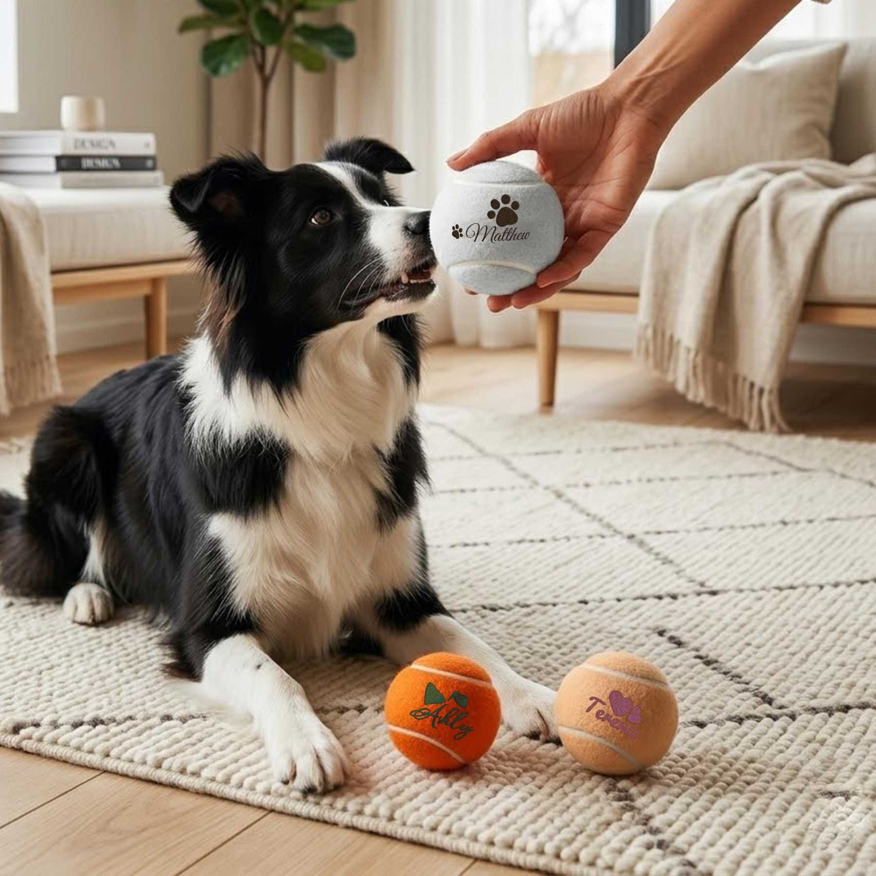Personalized Name Pet Tennis Ball | inToy09