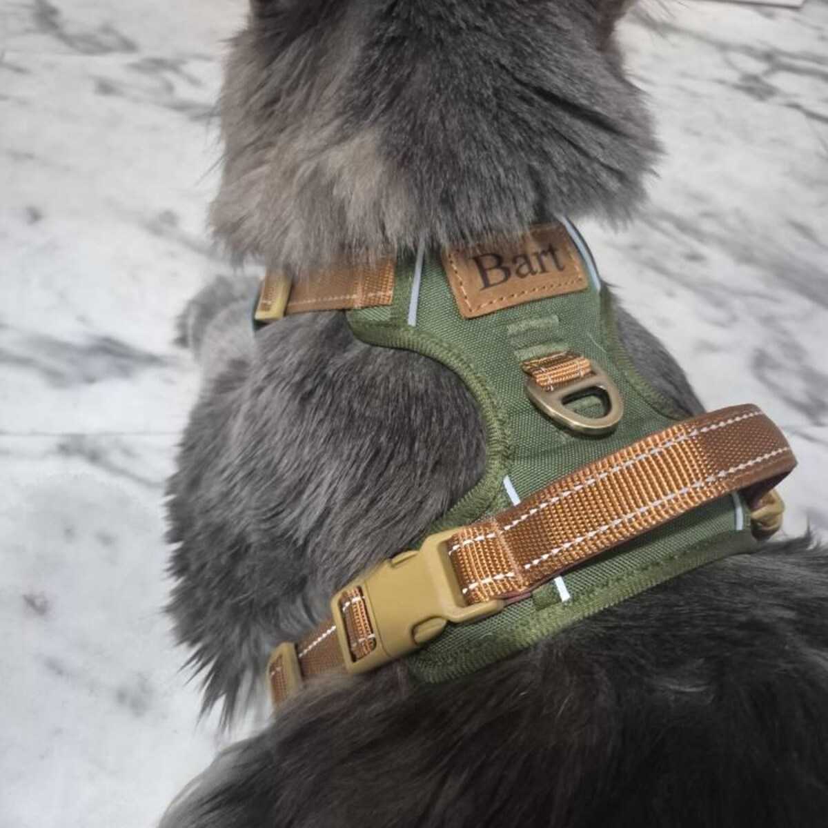 Personalized Pet Harness With Reflective Properties | inAccs58