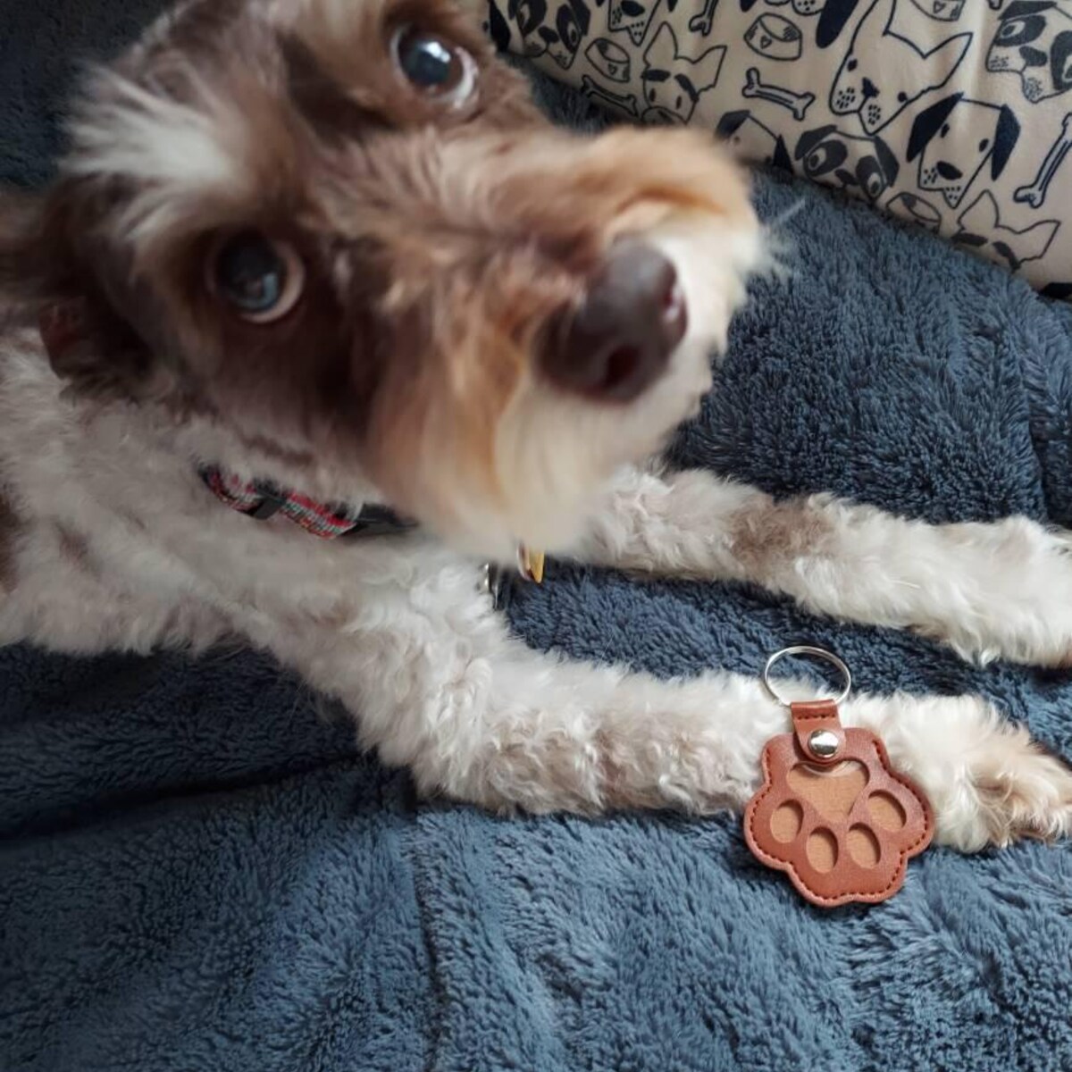 Personalized Pet Photo Keychain | inAccs61