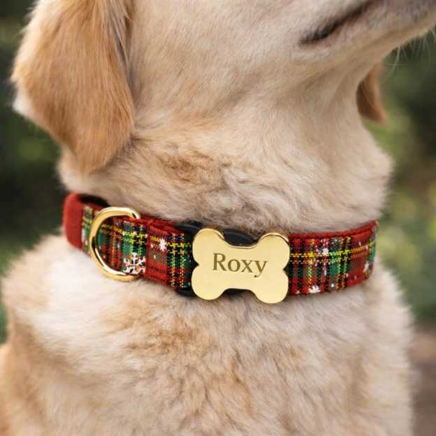 Personalized Engraved ID Pet Collar | inAccs40
