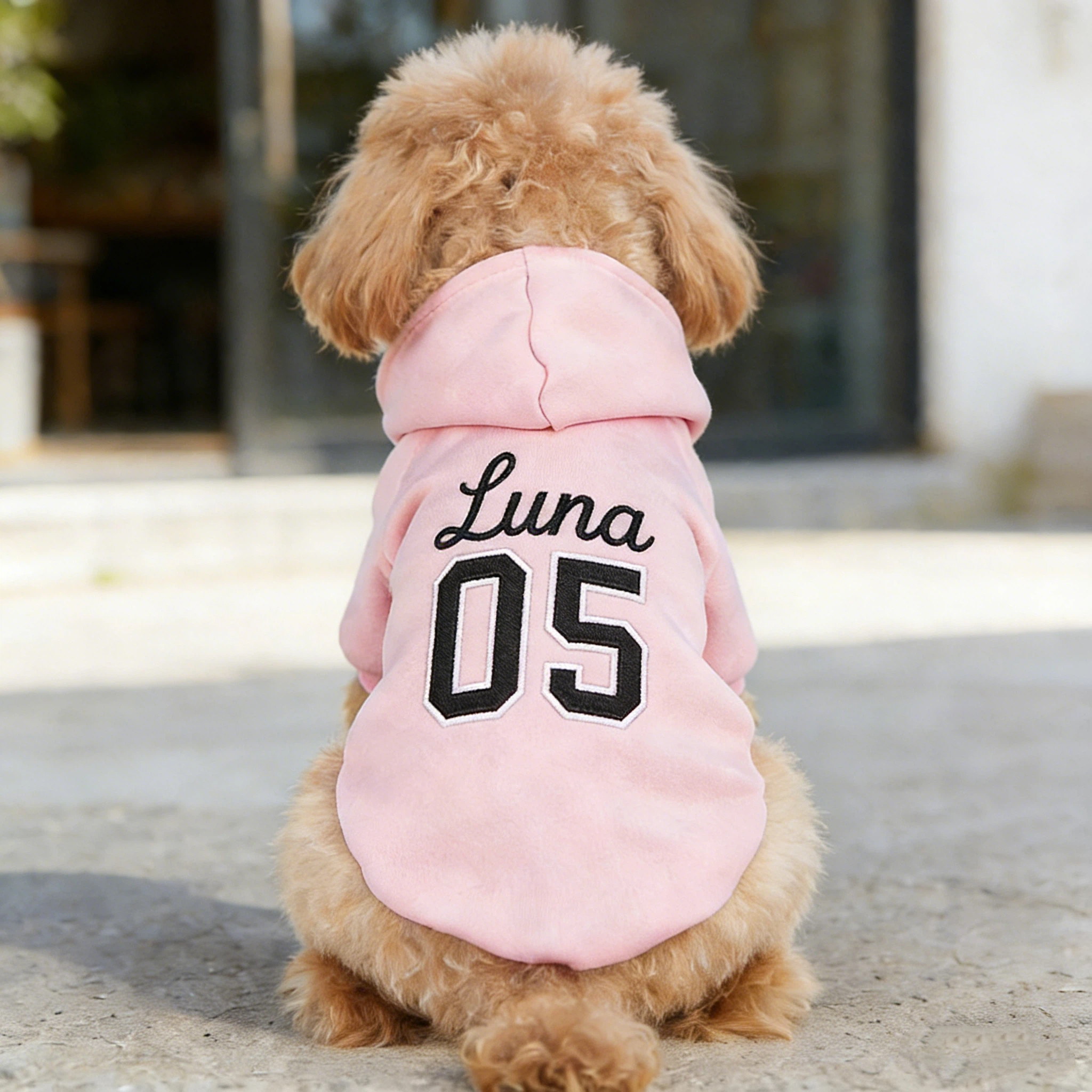 Personalized Embroidered Name Pet Birthday Hoodie | inCloth22