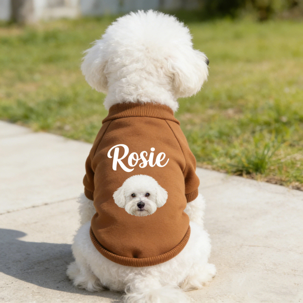 Personalized Name Pet Sweatshirt With Photo | inCloth26