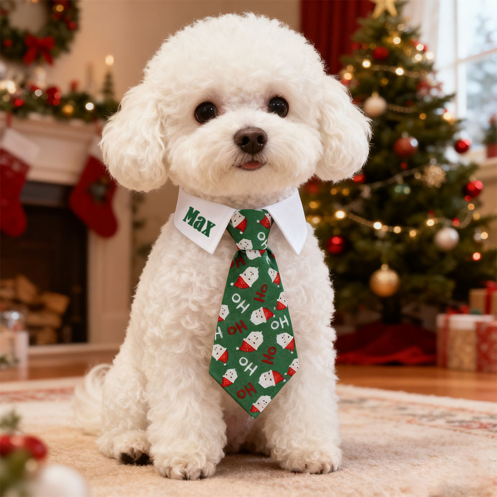 Personalized Name Christmas Pet Tie | inPet13