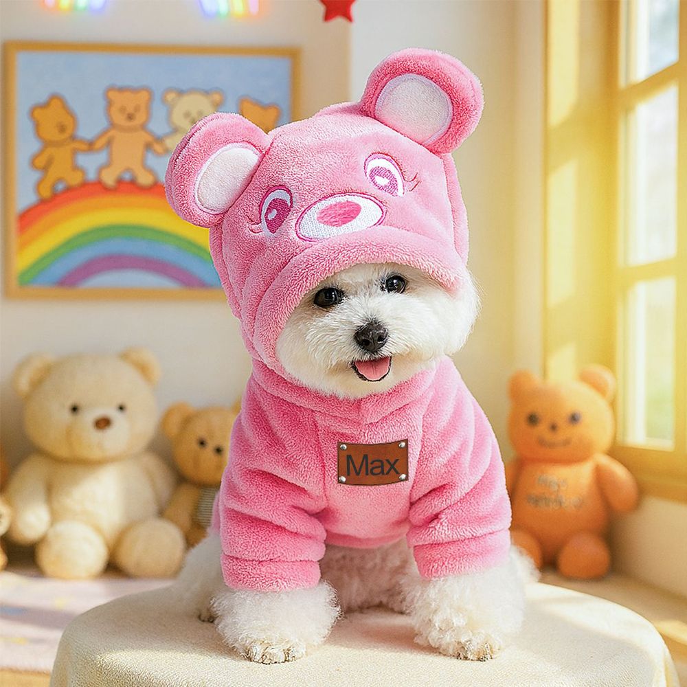 Personalized Leather Patch Name Pet Winter Hoodie | KKPet329