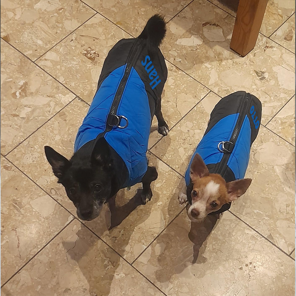 Personalized Pet Winter Warm Windproof Puffer Jacket | BKPet246