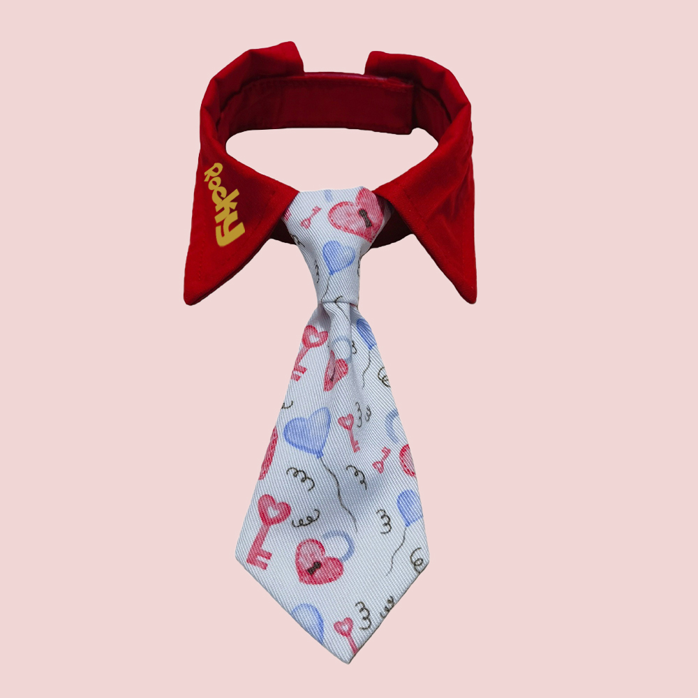 Personalized Pet Valentine's Day Tie Collar | inAccs01