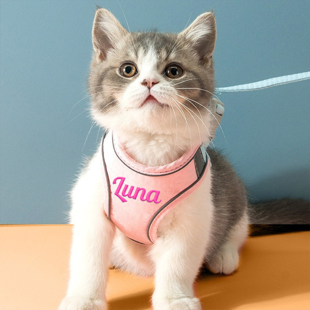 Personalized Embroidered Name Pet Harness with Leash | inAccs09