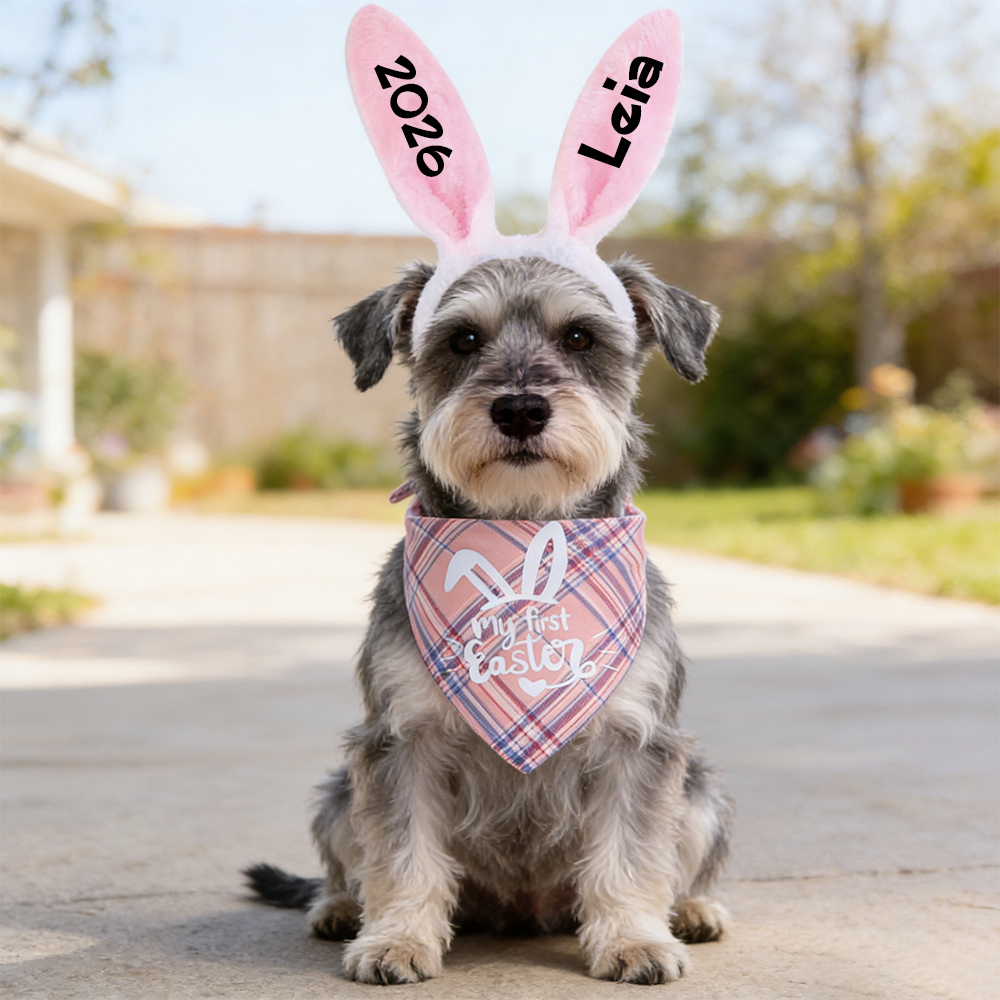 Personalized Easter Pet Bunny Headband and Bandana Set | inAccs11