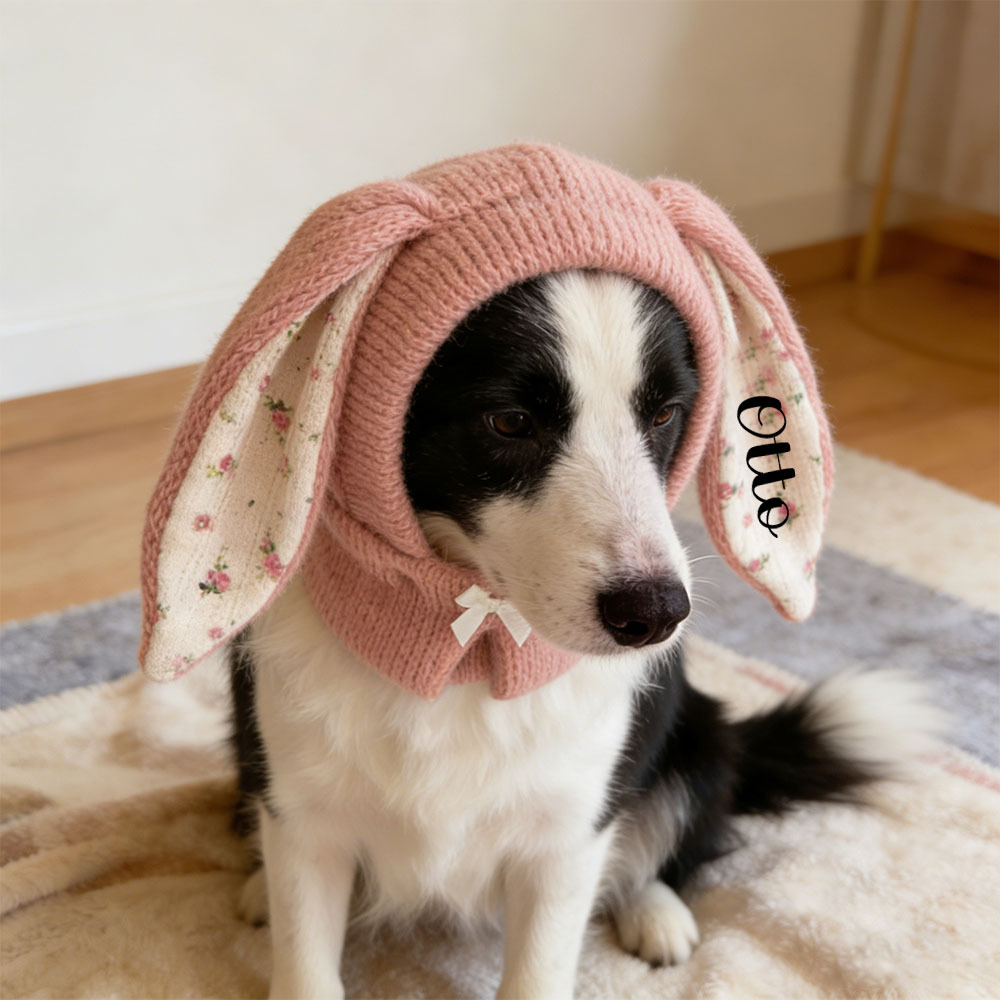 Personalized Easter Pet Knitted Bunny Ear Hat | inAccs14