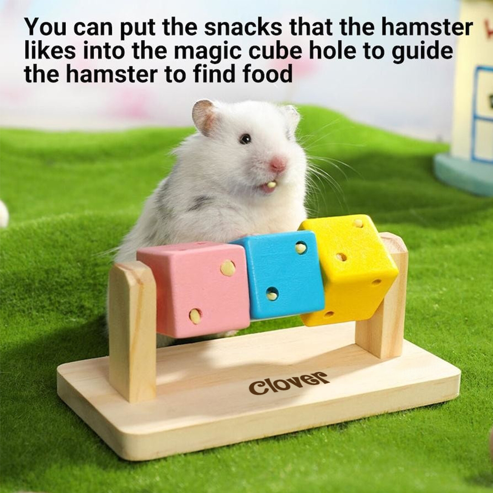Personalized Hamster Wooden Puzzle Toy | inToy04