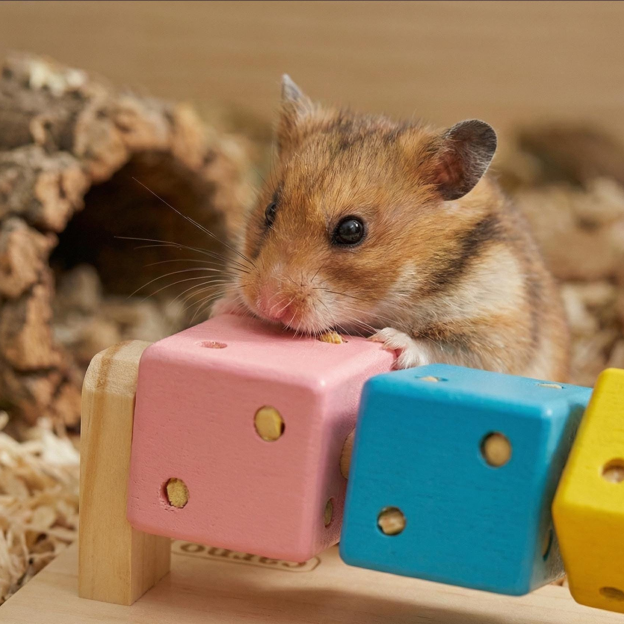 Personalized Hamster Wooden Puzzle Toy | inToy04
