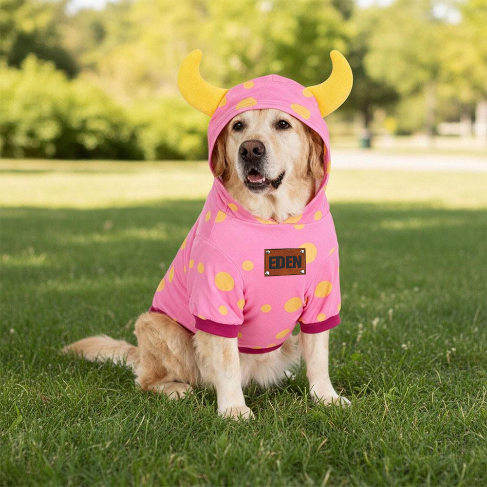 Personalized Leather Patch Name Pet Hoodie | inCloth15