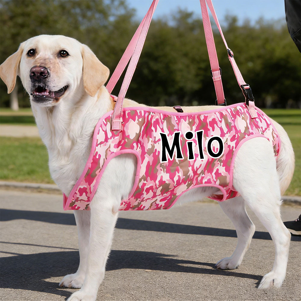 Personalized Name Dog Walking Aid Harness | inAccs24