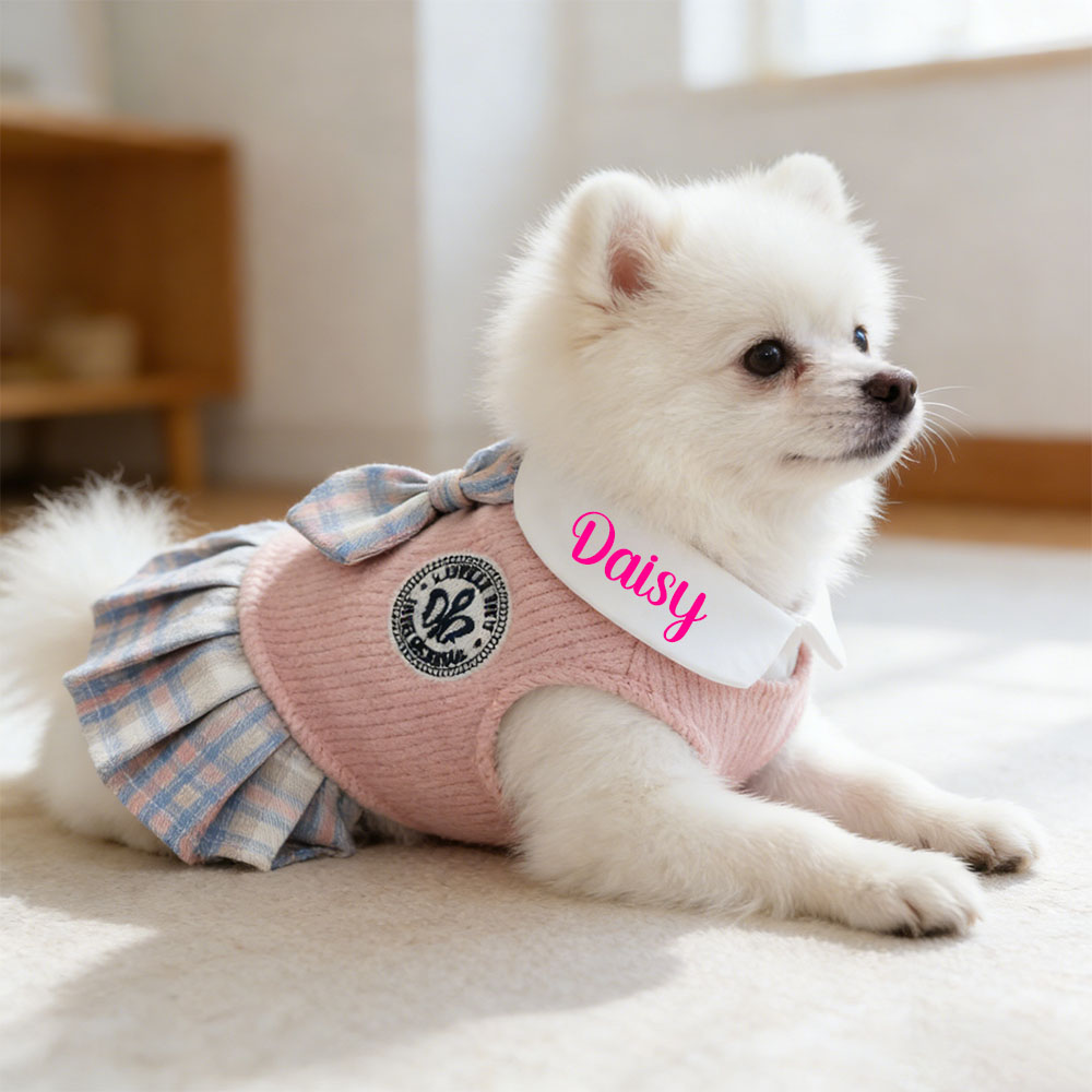 Personalized Pet School Style Dress | inCloth27