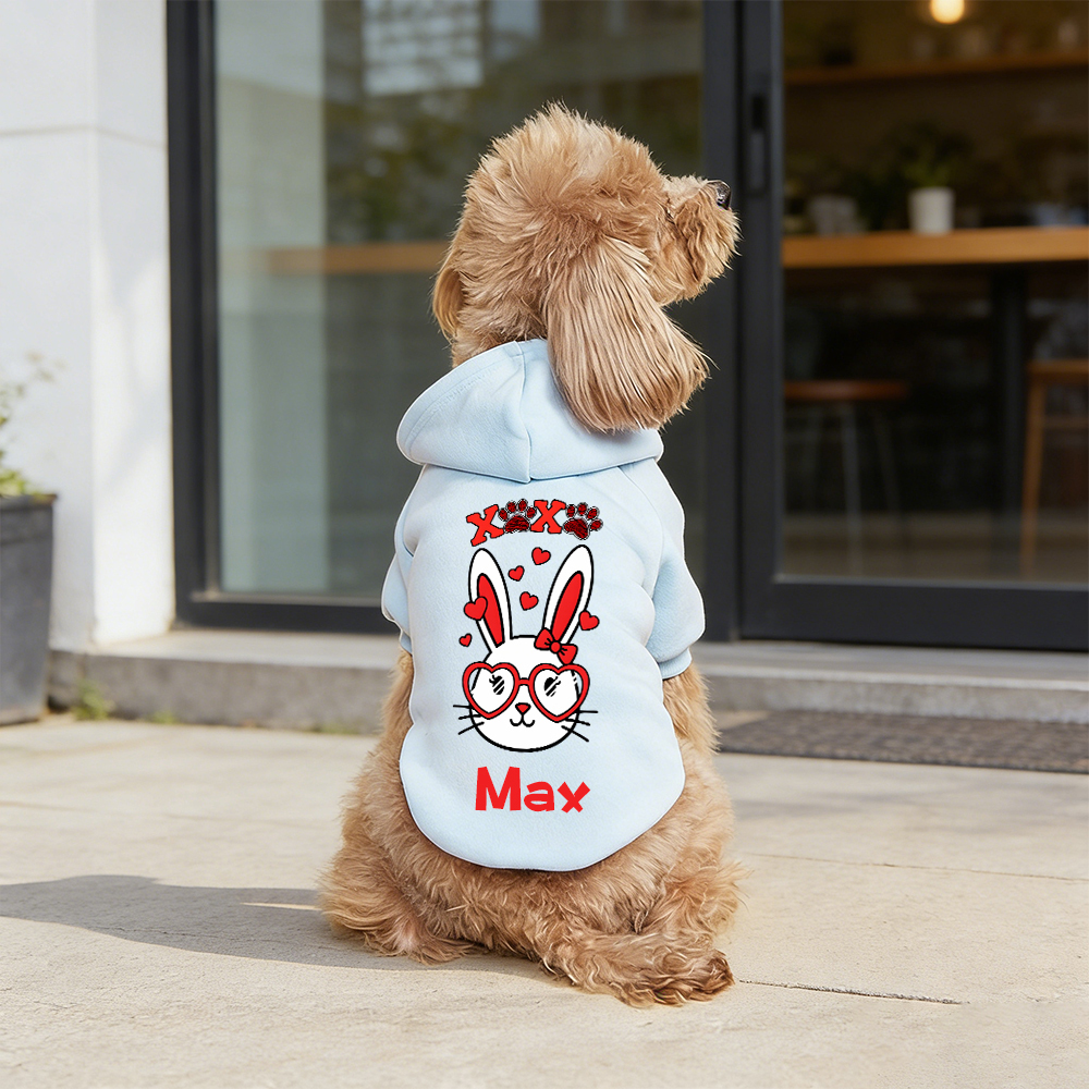 Personalized Name Easter Pet Bunny Hoodie | inCloth29
