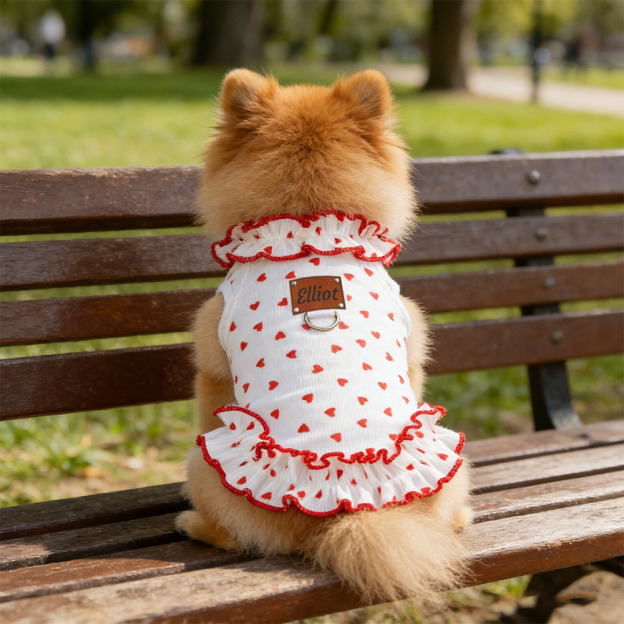 Personalized Leather Patch Name Pet Dress | inCloth32