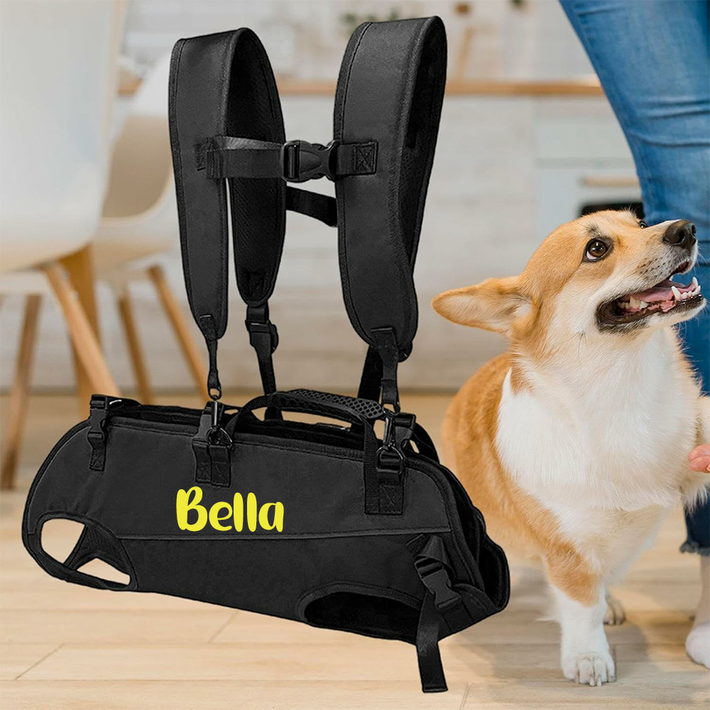 Personalized Name Outdoor Portable Breathable Pet Backpack | inAccs27