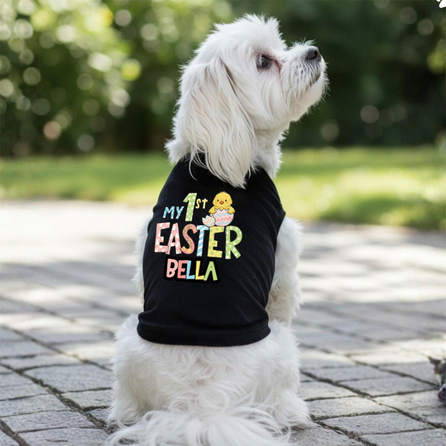 Personalized Pet's First Easter Shirt | inCloth35
