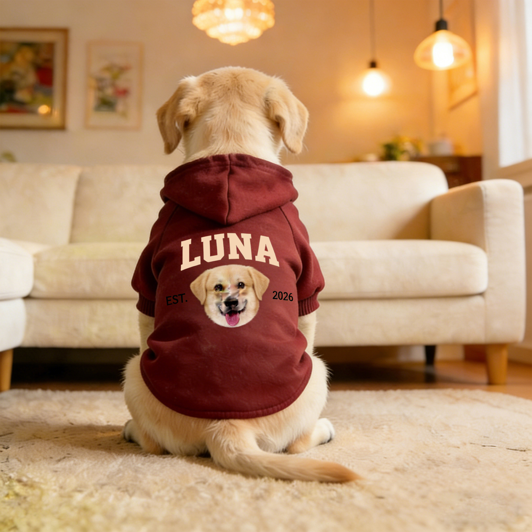 Personalized Funny Face Photo Soft Pet Hoodie | inCloth44