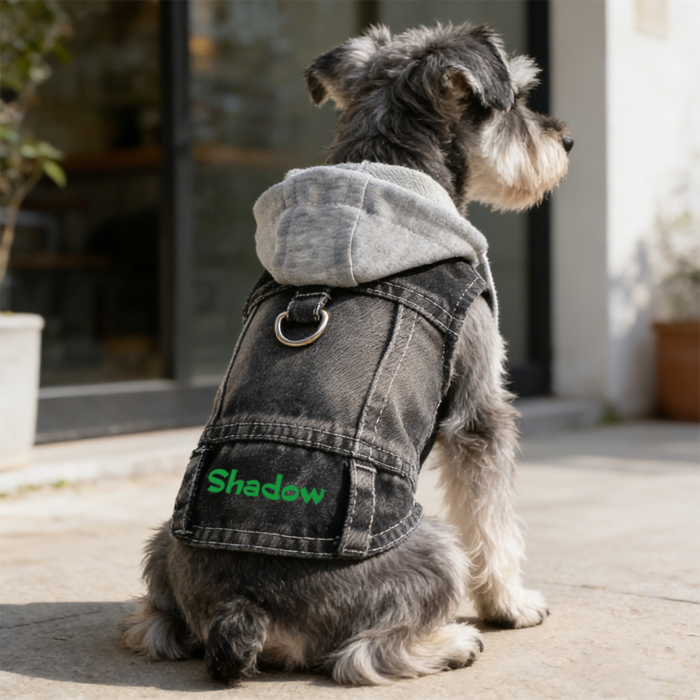 Personalized Name Denim Pet Hoodie Jacket | inCloth60